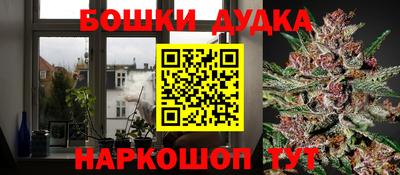 шишки Краснодар