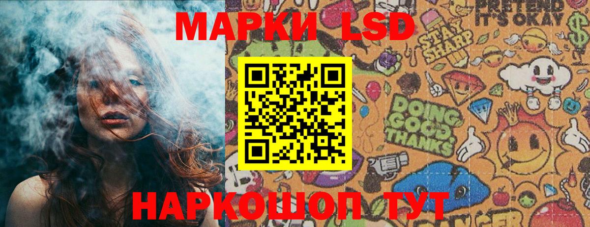 цена   Вход с VPN  Марки NBOMe  Камышлов  Марки 25I-NBOMe 1,8мг  Марки 25I-NBOMe 1,8мг 