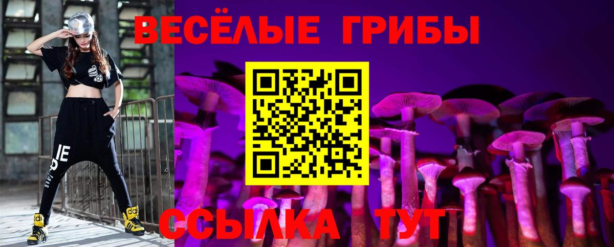 Галлюциногенные грибы прущие грибы  Вход с VPN  Камышлов 